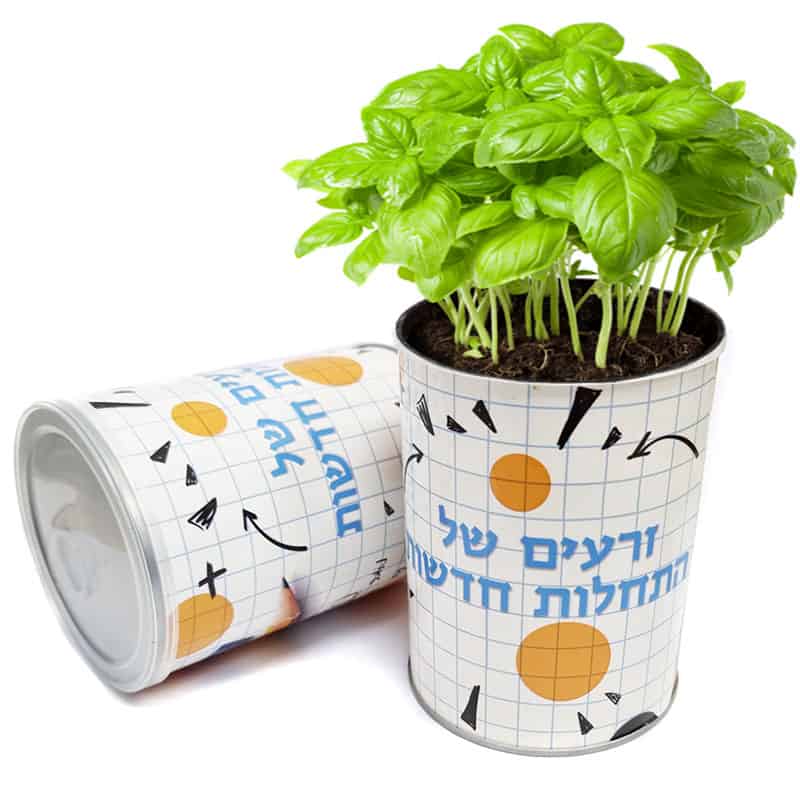 צמח בפחית – זרעים של התחלות חדשות